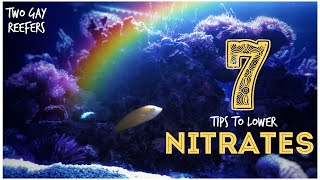 7 Tips to Lower Nitrates in a Reef Tank [upl. by Rozina]