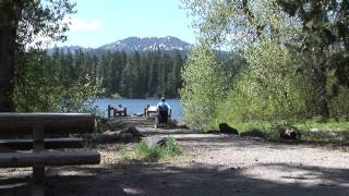 Accessible Adventures McKenzie Pass National Scenic Byway on the Willamette National Forest [upl. by Athenian830]