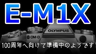 OLYMPUSフォーサーズフラッグシップの噂～創設100周年へ向けて～ [upl. by Earvin818]