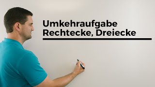 Umkehraufgabe Rechtecke Dreiecke Längen ausrechnen  Mathe by Daniel Jung Erklärvideo [upl. by Uolyram725]