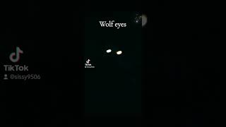 WOLF EYESforyou [upl. by Adnohryt]