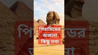 What is the mystery of pyramidvideo shot facts pyramid dhruvrathee reel depending [upl. by Attalanta]