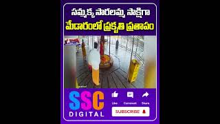 Earthquake At Sammakka  Saralamma  Shorts Sscdigital Balannamuchatlu [upl. by Enyamrahc]