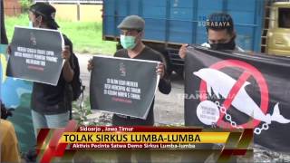 Aktivis Pecinta Satwa Demo Sirkus LumbaLumba [upl. by Aileno]