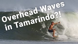 Overhead Waves in Tamarindo May 18  25 2024 Surf Recap [upl. by Aracahs]