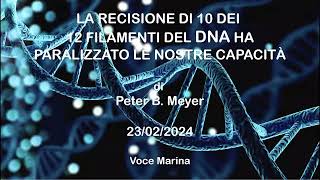 La Recisione di 10 dei 12 Filamenti del DNA di Peter B Meyer 23022024 [upl. by Leahcir]