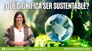 Qué es la sustentabilidad 🌎 [upl. by Anitnahs]