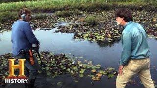 The Curse of Oak Island Ancient Manuscripts Buried in Swamp Season 7  History [upl. by Avlis]