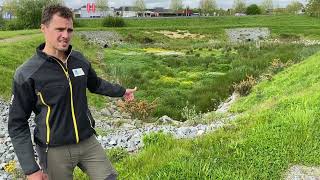 Enterré pendant plus de 40 ans un cours d’eau revit à SaintJouandesGuérets [upl. by Grand]