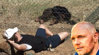 Bill Burr  Texas Student Mauled by Two Chimpanzees [upl. by Ahsienod]