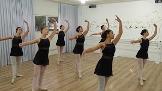 AULA NA ÍNTEGRA  Ballet Clássico [upl. by Enyluqcaj]