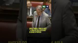 Angelo Bonelli canta in Aula quotIl ragazzo della via Gluckquot in segno di protesta [upl. by Ruiz]