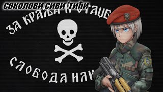 соколови сиви тићи  quotFalcons grey birdsquot Anthem of Serbian Krajina Nightcore [upl. by Bev205]