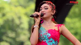 JIHAN AUDY NEW PALLAPA SUKET TEKI [upl. by Pouncey267]