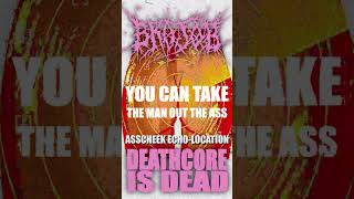 BROJOB  ASSCHEEK ECHOLOCATION metal deathcorevocalist deathcoremusic deathcore metalvocalist [upl. by Dawson340]