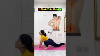 Back Pain Relief Exercises💊👍🏻 painrelief exercise workout homeworkout yts shorts [upl. by Euh867]