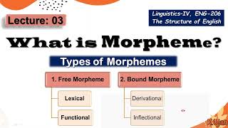 Morpheme  Types of Morphemes  Free Morphemes amp Bound Morphemes [upl. by Elatia]