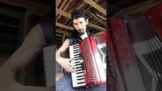 Tordilho Negro  Os Serranos  José Santtos do Accordion🎹🇧🇷🤘🏼 [upl. by Bravin]