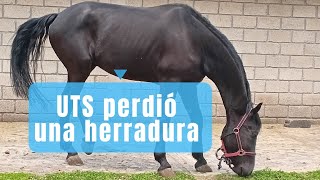 UTS perdió una herradura [upl. by Hendrick]