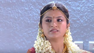 Balamani I Episode 13 Part 1 I Mazhavil Manorama [upl. by Chappie]