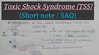 Toxic Shock Syndrome TSS  Staphylococcus aureus  Short answer question  M For Microbiology [upl. by Alodee242]