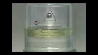 Interfacial Tension Test using a Du Nouy Ring [upl. by Buell827]