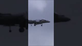 AV8B Harrier hovers over MCAS Beaufort marines usmc harrier shorts aviation airshow jets [upl. by Ttennaej]