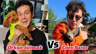 Orkun Isitmak Vs Enes Batur Lifestyle Career Family Biography Age Height Weight Net Worth [upl. by Yanel]