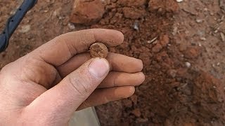 Metal Detecting  I Forgot my quotDig Pouchquot   Nugget Noggin [upl. by Annerahs78]