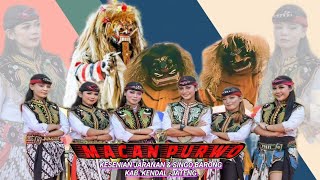 macan purwo [upl. by Whitney]