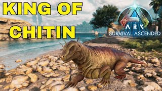 Absurd Early Game Chitin Gathering Ark Survival Ascended [upl. by Firestone81]