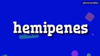 HEMIPENES  HOW TO PRONOUNCE IT [upl. by Vil]