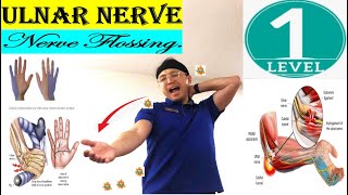 Major Exercise of Ulnar Nerve Flossing GlidingUlnar NeuropathyCervical Radiculopathy  Level 1 [upl. by Yaeger]