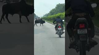 Rash Driving Chaos in Uttar Pradesh  Shocking Footage Curious Vivek [upl. by Leumhs]