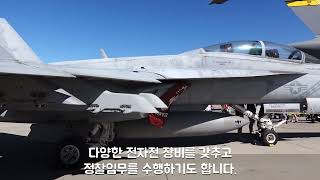 2024 캘리포니아 에어쇼 FA18 호넷 California Airshow FA18 Hornet [upl. by Hoban]