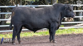 Lot 7  Springhill T162 [upl. by Eissert]