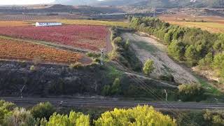 Paisaje otoñal cerca de las Bodegas y Viñedos Tobelos Briñas [upl. by Honeywell644]