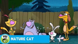 NATURE CAT  Bioluminescence  PBS KIDS [upl. by Meijer]