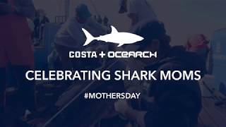 Costa X OCEARCH Shark Mothers [upl. by Lucina864]