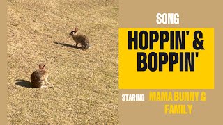 Ultimate BunnyBeat Hoppin amp Boppin Nonstop Fun Song for All [upl. by Hakaber235]