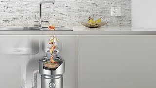 How to use an InSinkErator Food Waste Disposer [upl. by Enidualc]