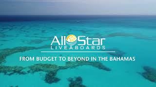 All Star Liveaboards From Budget and Beyond in the Bahamas [upl. by Haldas]