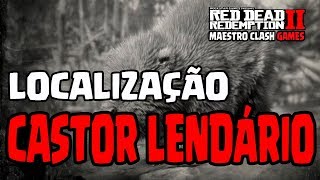 RED DEAD REDEMPTION 2  CAÇAR O CASTOR LENDÁRIOLOCALIZAÇÃO [upl. by Eanwahs]