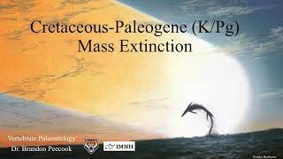 Lecture 24 The CretaceousPaleogene Mass Extinction KPg April 4 [upl. by Maples295]