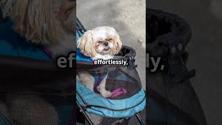 Zoosky Folding Dog Stroller [upl. by Asirrac]