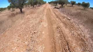 CF Moto 450 MT  Test Ride OffRoad [upl. by Ociram]