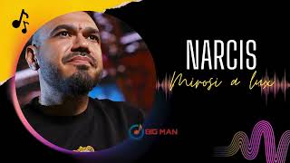 Narcis  Mirosi a Lux Official Audio 2024 [upl. by Erlina]