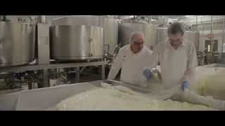 BelGioiosos Cheesemaking Tradition [upl. by Lauro]