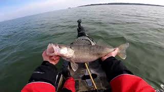 Early Season Erie Walleye from the Kayak [upl. by Eelsnia]