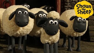 Shaun the Sheep 🐑 Flock Adventures  Cartoons for Kids 🐑 Full Episodes Compilation 1 hour [upl. by Netsew]